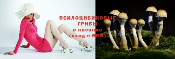 таблы Алексеевка