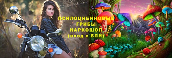 дживик Алзамай