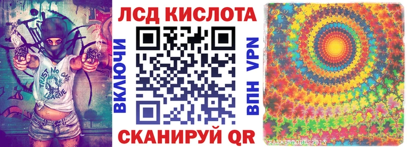 магазин  наркотиков  блэк спрут маркетплейс  Наркотические марки 1,8мг  Болхов 